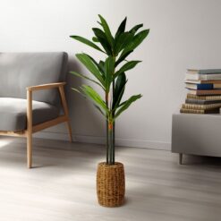 Műnövény dekoráció - Dracaena Fragrans - 1,1-1,2 m