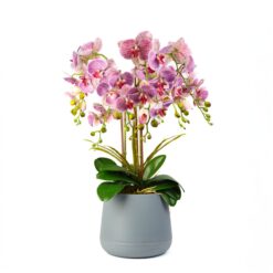 Alternative view of Műnövény dekoráció - orchidea - lila - 83 cm