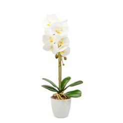 Alternative view of Műnövény dekoráció - orchidea - fehér - 48 cm