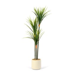 Alternative view of Műnövény dekoráció - Dracaena Marginata - zöld - 1,2 m