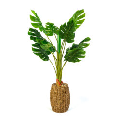 Alternative view of Műnövény dekoráció - filodendron - 1 m