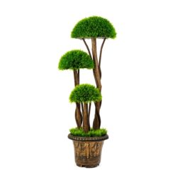 Alternative view of Műnövény dekoráció - gömb buxus fa - 90 cm