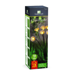 Leszúrható szolár lámpa - kamilla - 10 melegfehér LED - 80 cm - Image 3